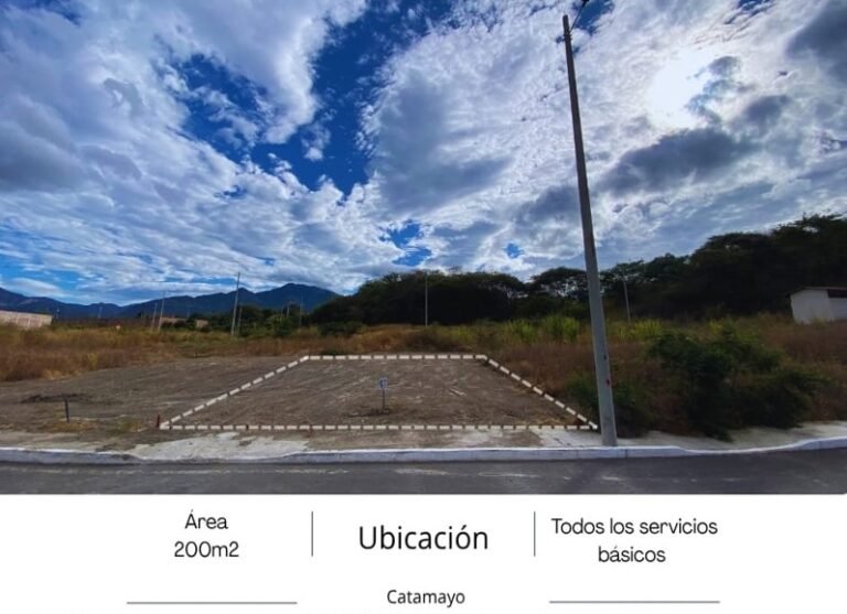VENDIDO