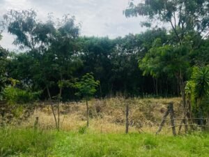 OPORTUNIDAD DE LOTE EN CATAMAYO - 552m2