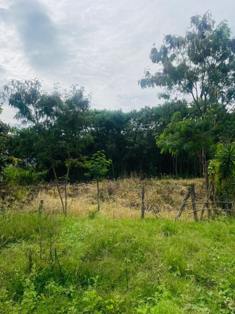 OPORTUNIDAD DE LOTE EN CATAMAYO – 552m2