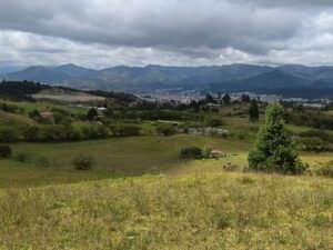 Terreno Rústico de 5.000 m² en Venta en Punzara Chico, Loja