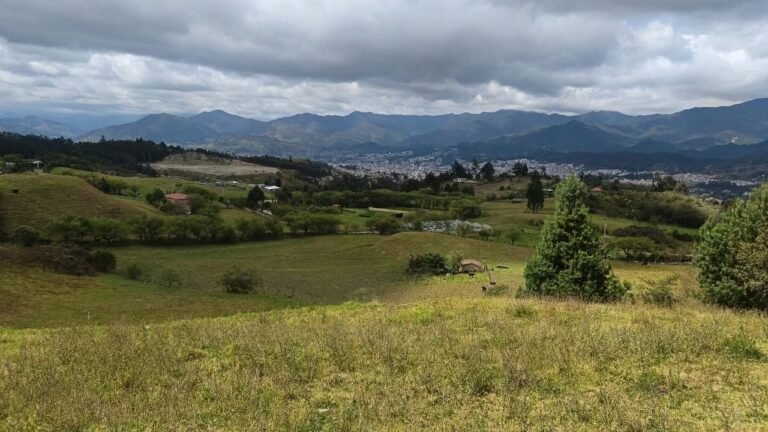 Terreno Rústico de 5.000 m² en Venta en Punzara Chico, Loja